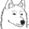 experimentCNU's Avatar